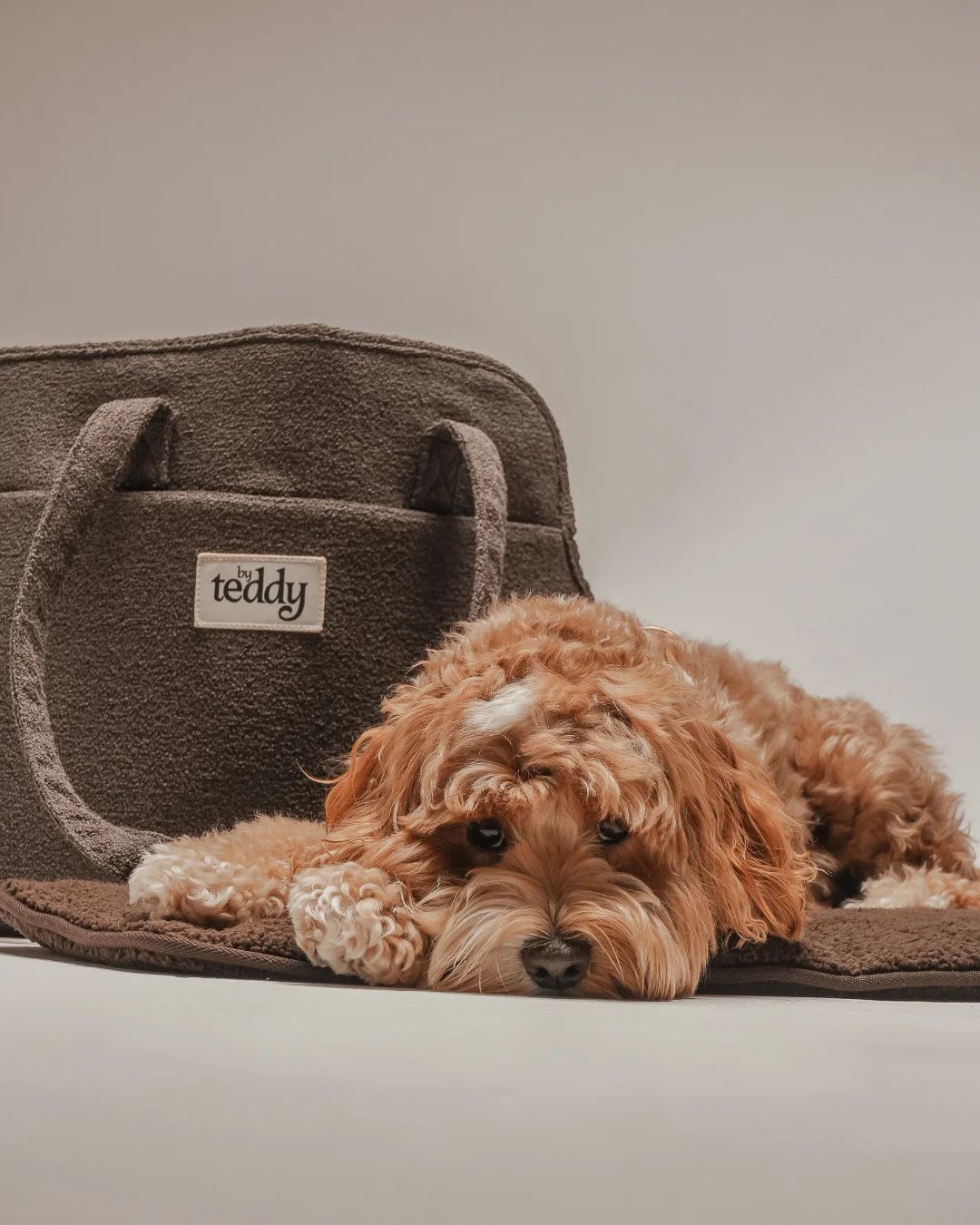 Chocolate┃The Bouclé Carrier - Image 11