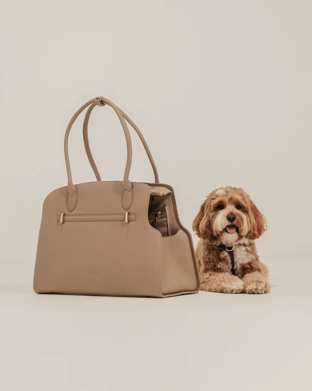 Hazelnut | The Studio Carrier - Image 13