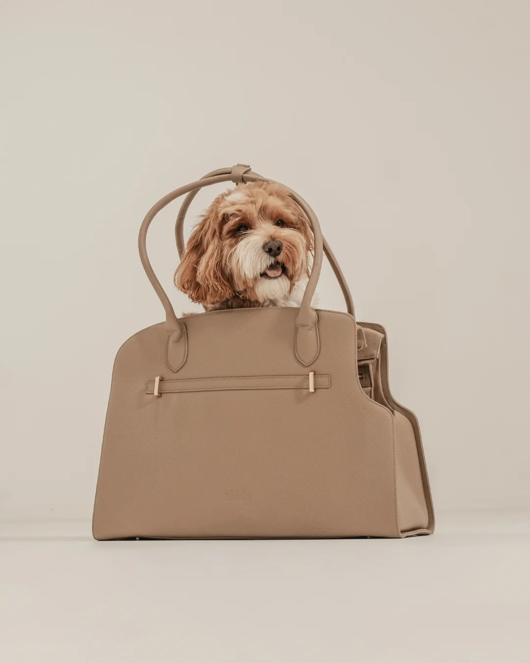Hazelnut | The Studio Carrier - Image 4