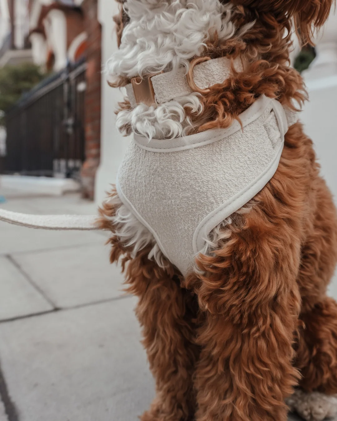 Marshmallow┃Bouclé Adjustable Harness - Image 5