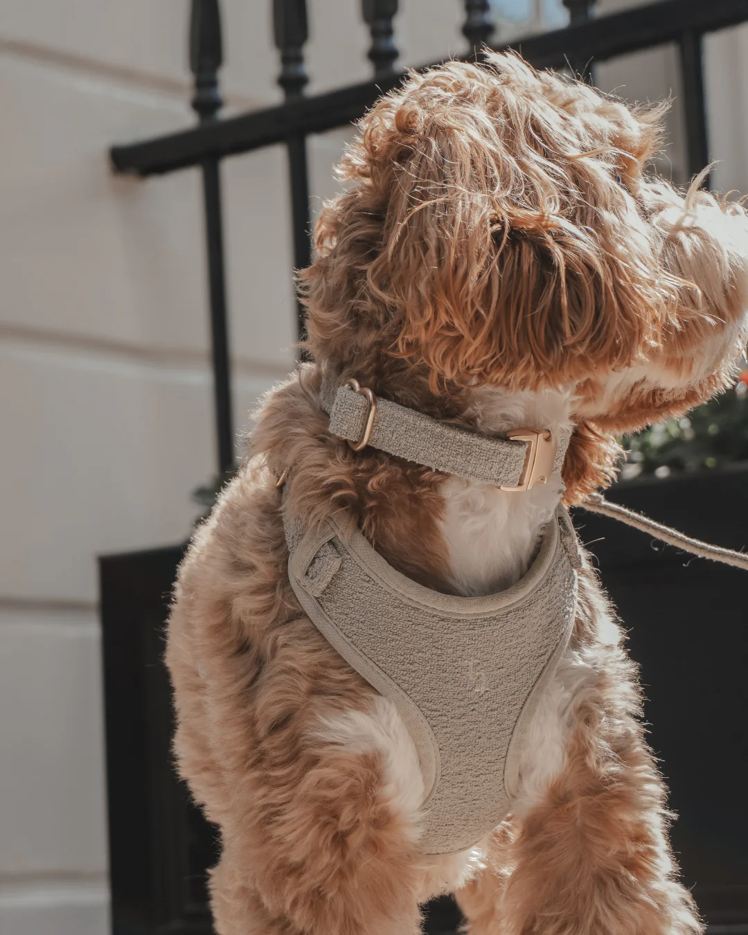 Matcha┃Bouclé Collar - Image 4